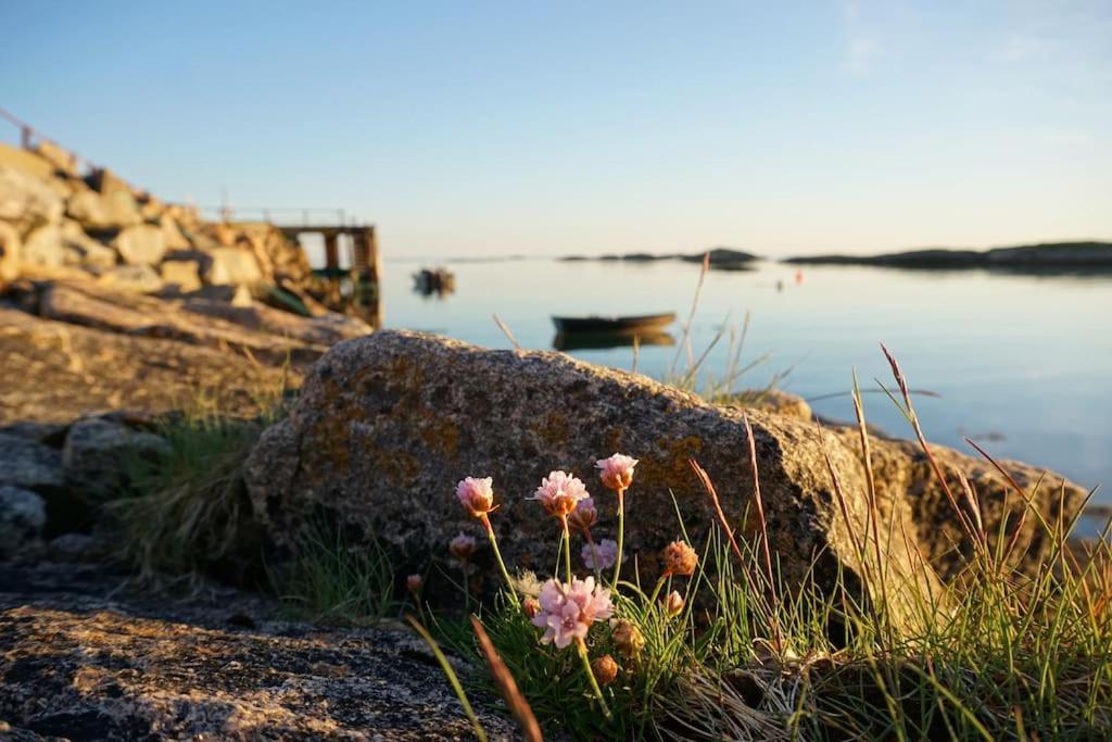 Sjarmerende Hus Med Orkesterplass Til Hav Og Fjell Stave Exterior foto